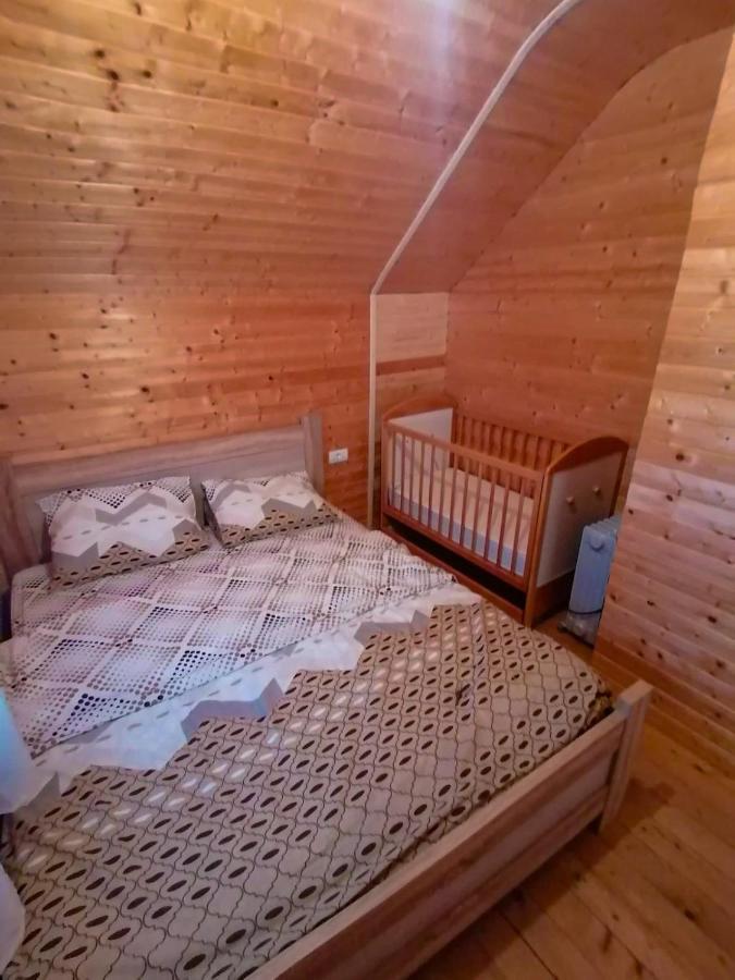 Mountain Peace Cottage Žabljak 外观 照片